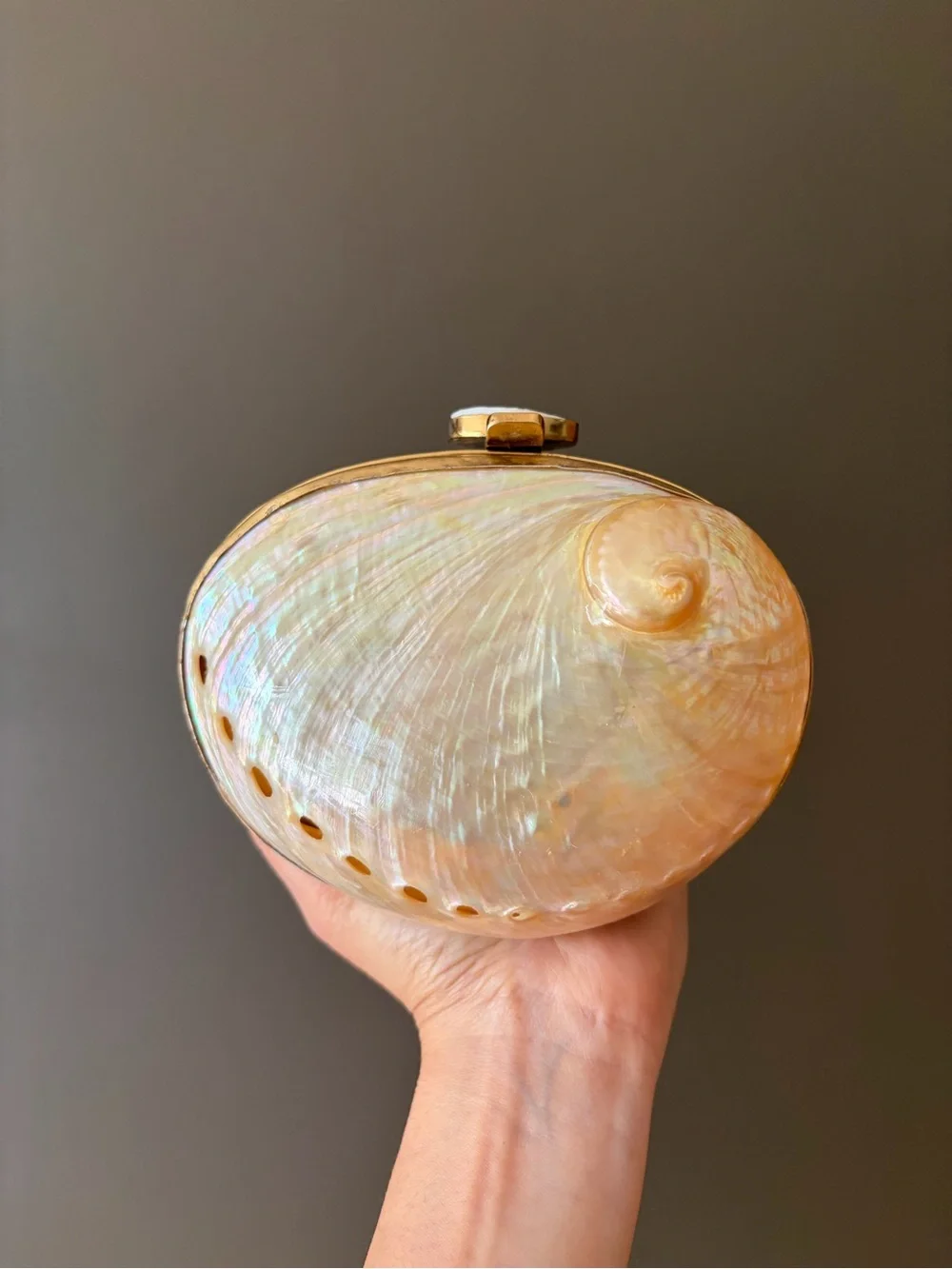 Iridescent Shell Clutch Wristlet in Cream